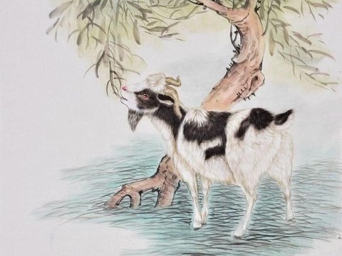 tử vi tuổi mùi