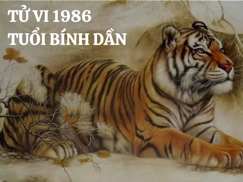 tử vi tuổi dần