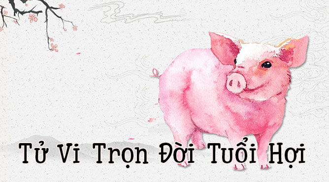 tử vi tuổi hợi