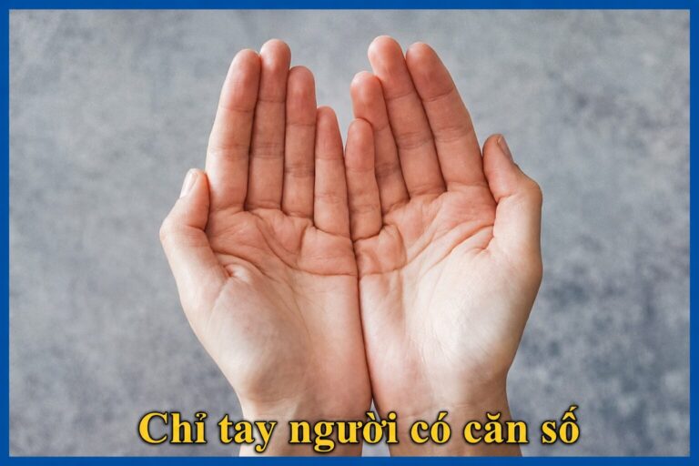 Chỉ tay người có căn số