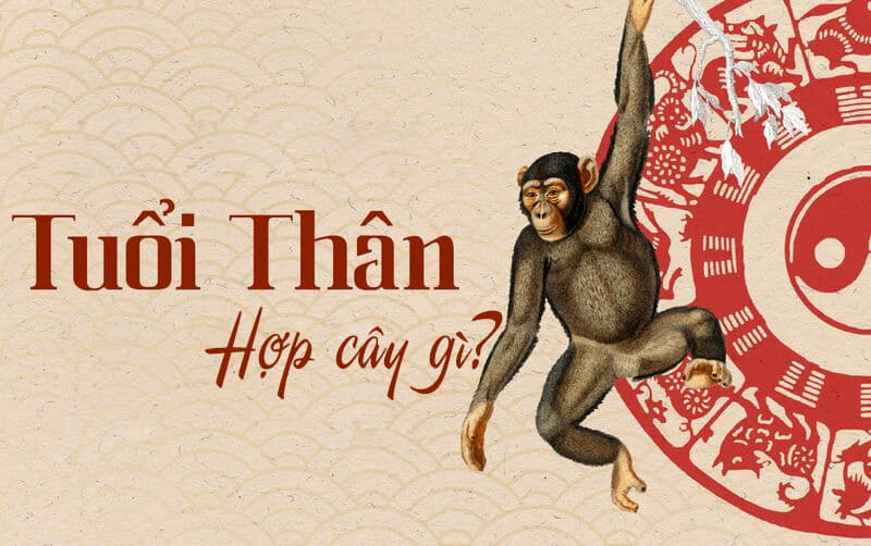 hóa giải vận hạn tuổi thân